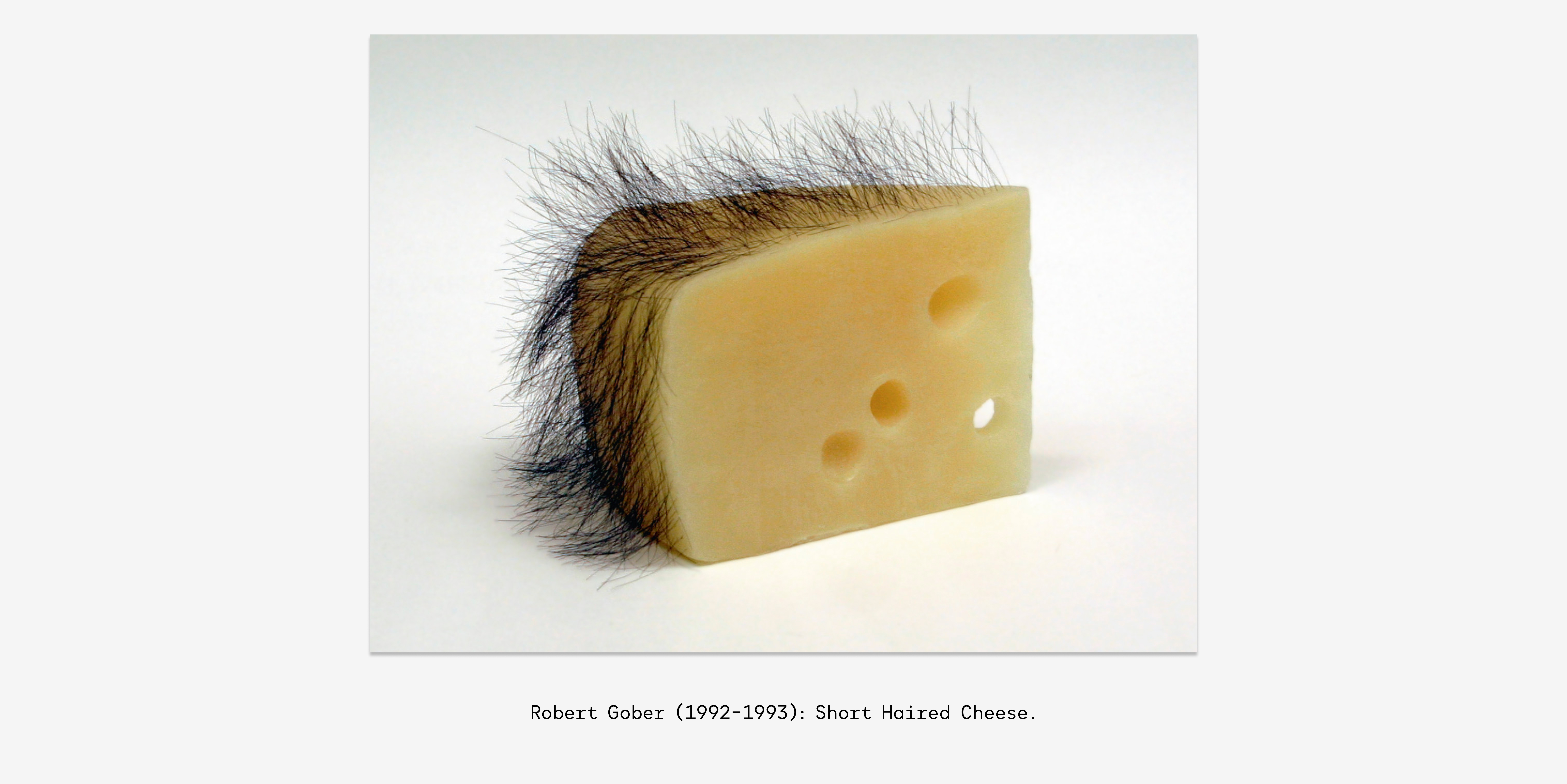 Robert Gober (1992–1993)_ Short Haired Cheese-4ce1e4.jpg